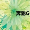 奔驰G65（关于奔驰G65简介）