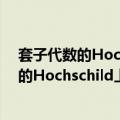 套子代数的Hochschild上同调及套的分类（关于套子代数的Hochschild上同调及套的分类简介）