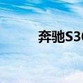 奔驰S300（关于奔驰S300简介）