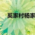 奚家村杨家宅（关于奚家村杨家宅简介）