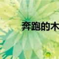 奔跑的木头（关于奔跑的木头简介）