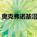 奥克弗诺基沼泽（关于奥克弗诺基沼泽简介）