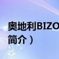 奥地利BIZO冲锋枪（关于奥地利BIZO冲锋枪简介）