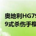 奥地利HG79式杀伤手榴弹（关于奥地利HG79式杀伤手榴弹简介）