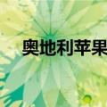 奥地利苹果派（关于奥地利苹果派简介）