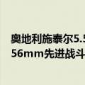 奥地利施泰尔5.56mm先进战斗步枪（关于奥地利施泰尔5.56mm先进战斗步枪简介）