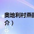 奥地利村燕圆舞曲（关于奥地利村燕圆舞曲简介）