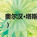 奥尔汉·塔斯德伦（关于奥尔汉·塔斯德伦简介）