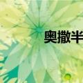 奥撒半岛（关于奥撒半岛简介）