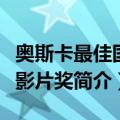 奥斯卡最佳国际影片奖（关于奥斯卡最佳国际影片奖简介）