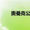 奥曼克公司（关于奥曼克公司简介）