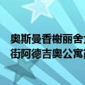 奥斯曼香榭丽舍大街阿德吉奥公寓（关于奥斯曼香榭丽舍大街阿德吉奥公寓简介）