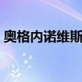 奥格内诺维斯基（关于奥格内诺维斯基简介）