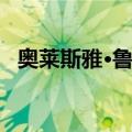 奥莱斯雅·鲁林（关于奥莱斯雅·鲁林简介）