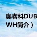 奥睿科DUB-6P-WH（关于奥睿科DUB-6P-WH简介）