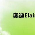 奥迪Elaine（关于奥迪Elaine简介）