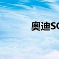 奥迪SQ5（关于奥迪SQ5简介）