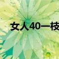 女人40一枝花（关于女人40一枝花简介）