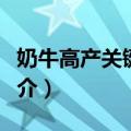 奶牛高产关键技术（关于奶牛高产关键技术简介）