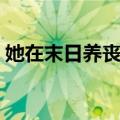 她在末日养丧尸（关于她在末日养丧尸简介）