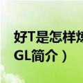 好T是怎样炼成的GL（关于好T是怎样炼成的GL简介）