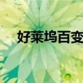 好莱坞百变猫（关于好莱坞百变猫简介）