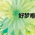 好梦难成（关于好梦难成简介）