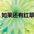 如果还有红草莓（关于如果还有红草莓简介）