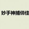 妙手神捕俏佳人（关于妙手神捕俏佳人简介）