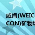 威肯(WEICON)矿物填补胶（关于威肯(WEICON)矿物填补胶简介）