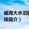 威海大水泊国际机场（关于威海大水泊国际机场简介）