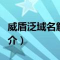 威盾泛域名解析器（关于威盾泛域名解析器简介）