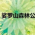 娑罗山森林公园（关于娑罗山森林公园简介）