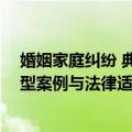 婚姻家庭纠纷 典型案例与法律适用（关于婚姻家庭纠纷 典型案例与法律适用简介）