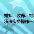 婚姻、收养、继承法实务操作一本通（关于婚姻、收养、继承法实务操作一本通简介）