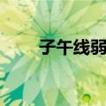 子午线弱视（关于子午线弱视简介）