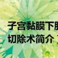 子宫黏膜下肌瘤切除术（关于子宫黏膜下肌瘤切除术简介）