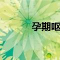 孕期呕吐（关于孕期呕吐简介）