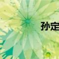 孙定国（关于孙定国简介）