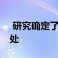  研究确定了分布式太阳能的20个被忽视的好处