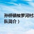 孙桥镇梭罗河村志愿服务队（关于孙桥镇梭罗河村志愿服务队简介）