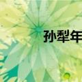 孙犁年谱（关于孙犁年谱简介）