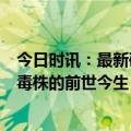 今日时讯：最新研究中国暂未发现新变异株 5分钟看懂XBB毒株的前世今生