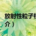 放射性粒子植入法（关于放射性粒子植入法简介）