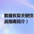 数据恢复关键技术与实战指南（关于数据恢复关键技术与实战指南简介）