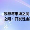 政府与市场之间：开发性金融的中国探索（关于政府与市场之间：开发性金融的中国探索简介）