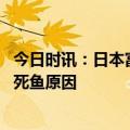 今日时讯：日本富士山县海湾突现大量沙丁鱼 日本沿海大批死鱼原因