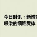 今日时讯：新增变异株是否会大流行 新研究发现能印制新冠感染的细胞受体