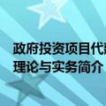 政府投资项目代建制理论与实务（关于政府投资项目代建制理论与实务简介）