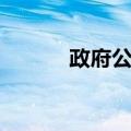 政府公关（关于政府公关简介）